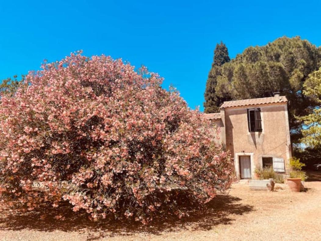 Villa Casa Côté Sud - Mas Bois Fontaine à Nîmes Extérieur photo